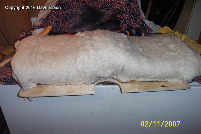 MGTD15470/Interior & Upholstery/Reupholstery/seat back Cotton batting built up